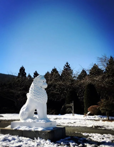 日本自助遊攻略