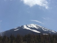 5月14日 5月14日