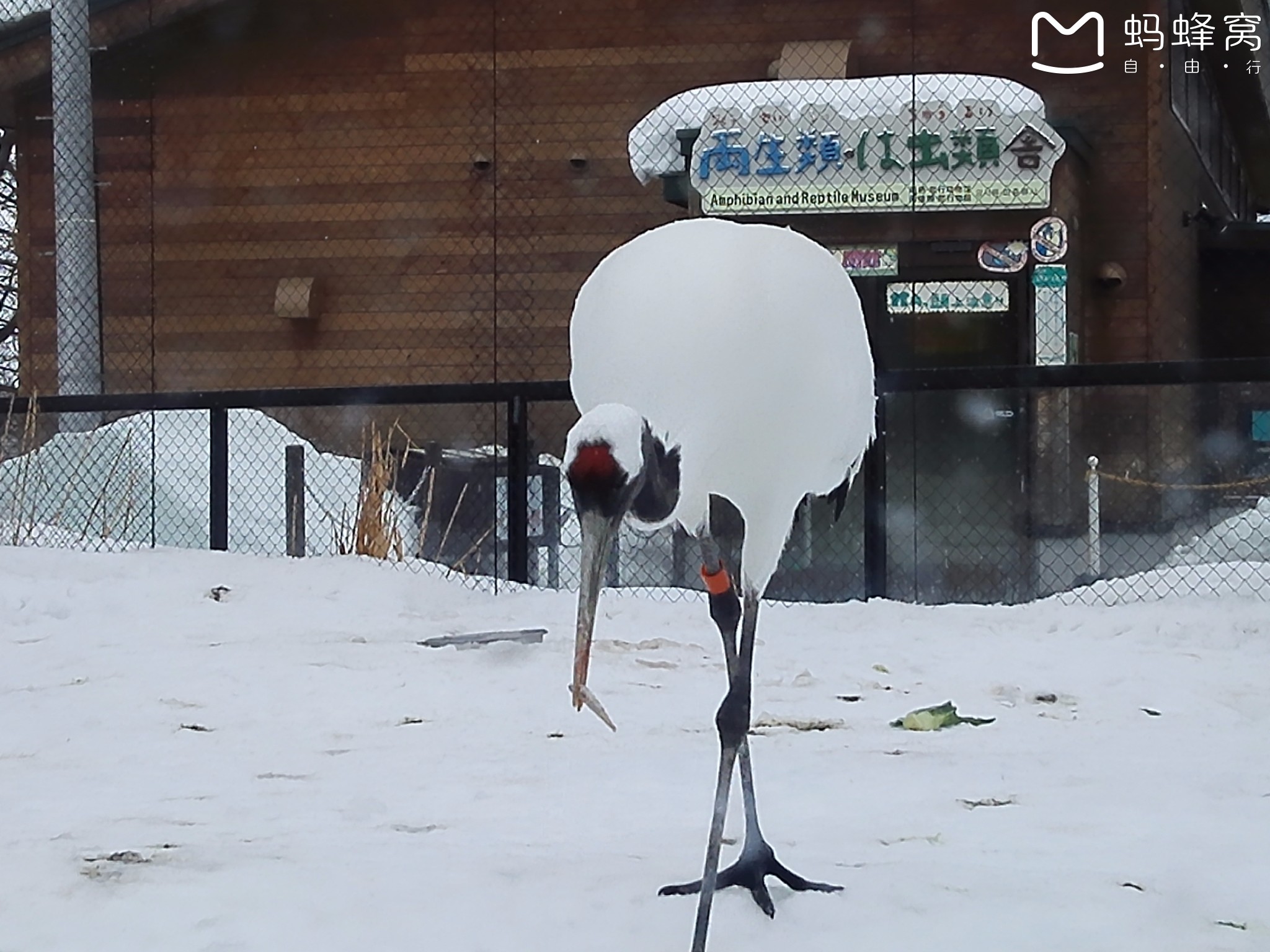 北海道自助遊攻略