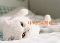 拜县的闲情逸致 拜县的闲情逸致