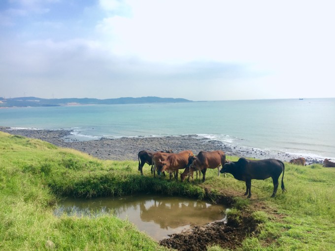 福建小垦丁--镇海角两日游(厦门周边游)