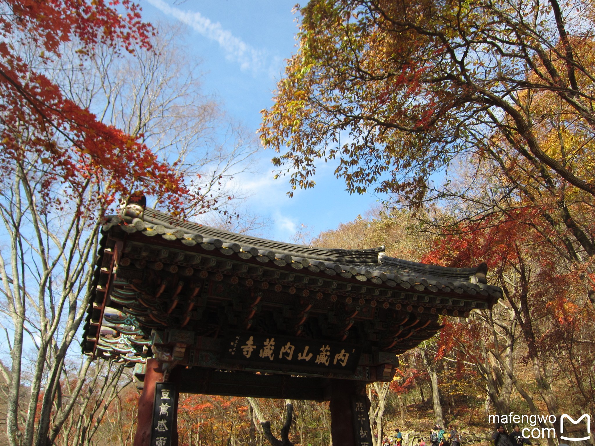 釜山自助遊攻略