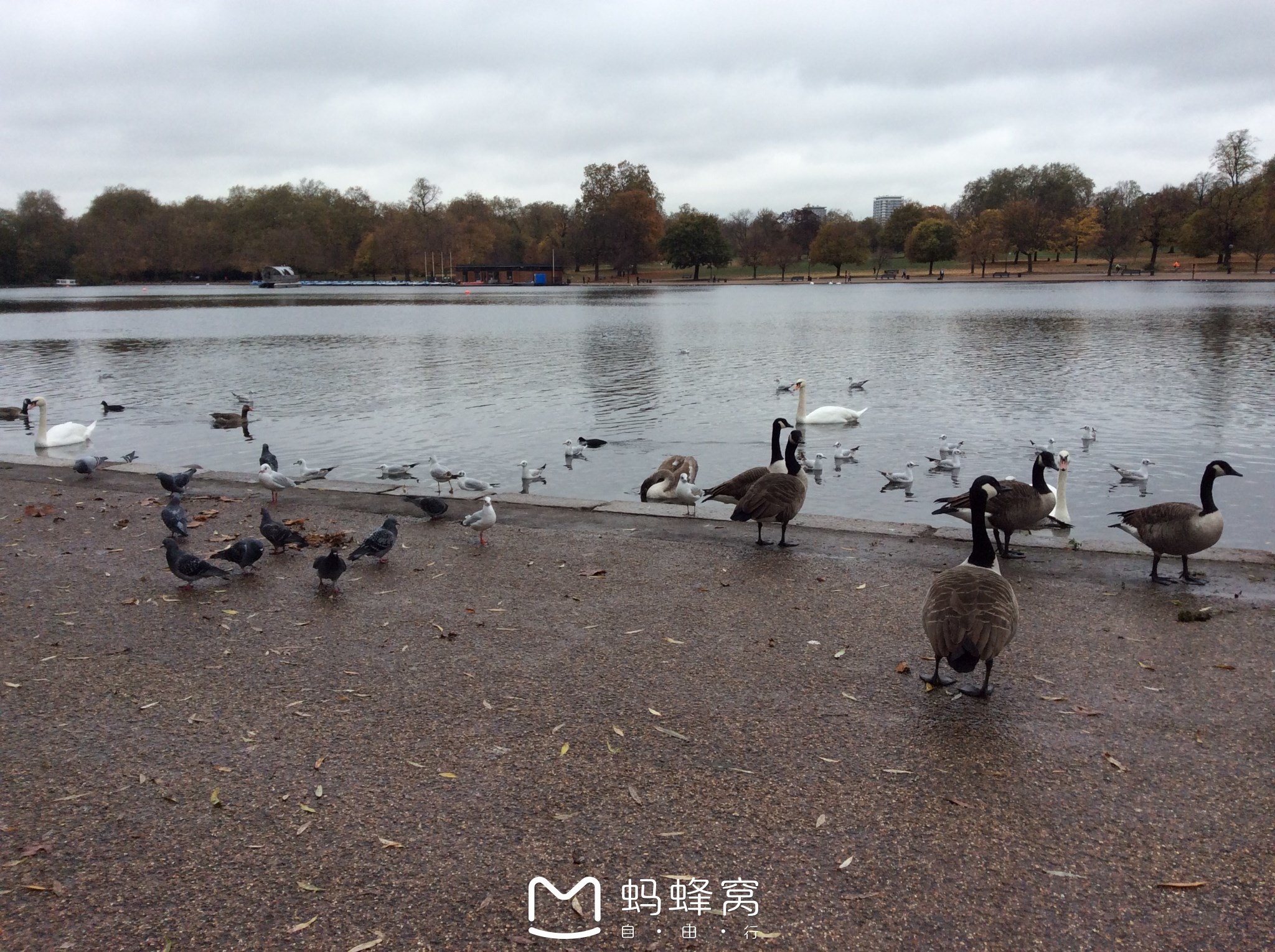 wKgBs1ZmZU6AXYOSAAvpWcLxXa856.jpeg?imageView2%2F2%2Fw%2F600%2Fh%2F600%2Fq%2F90