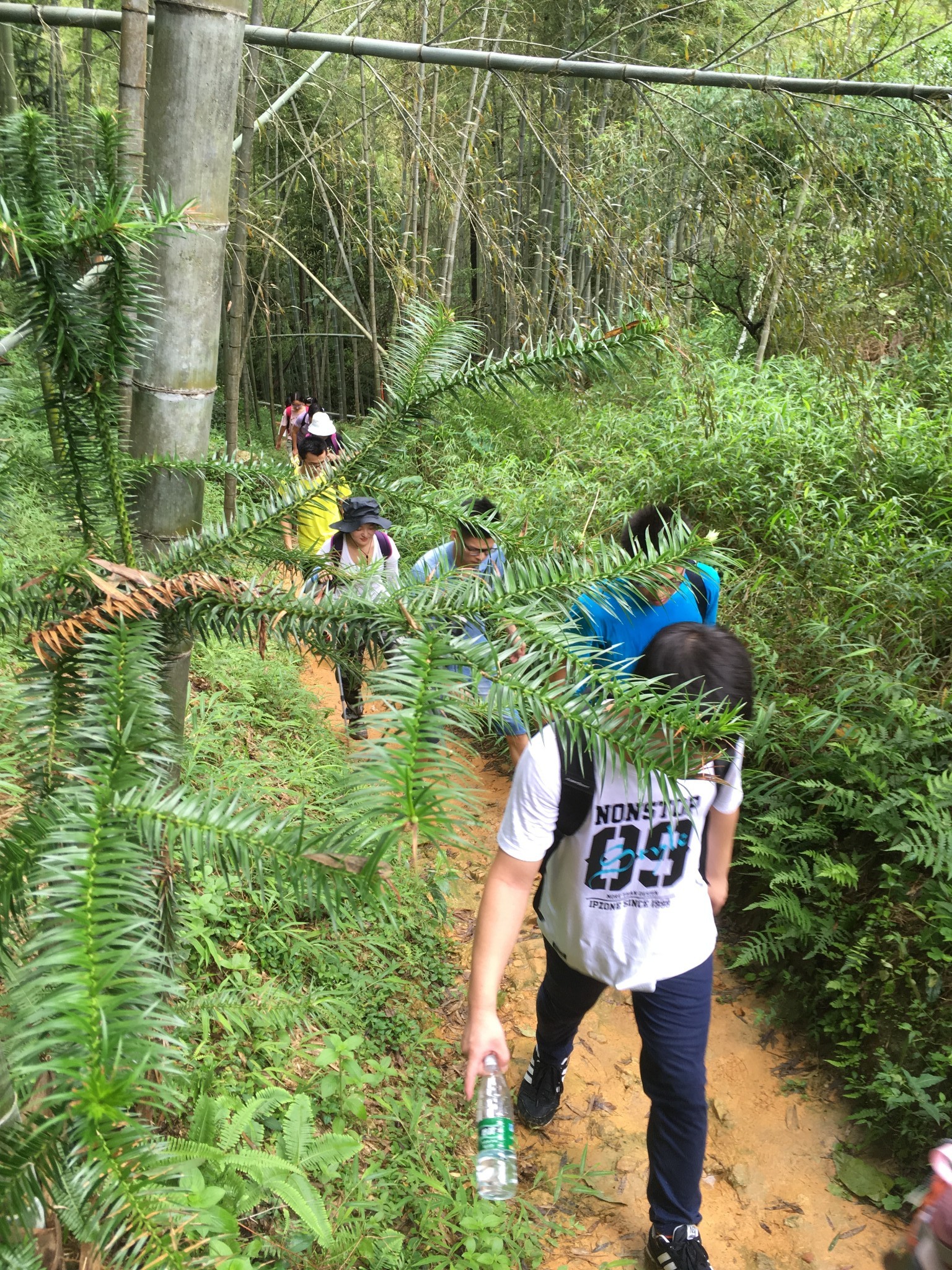 wKgBs1ewfVWAZQwLABQ0QxWlgAo44.jpeg?imageView2%2F2%2Fw%2F680%2Fq%2F90