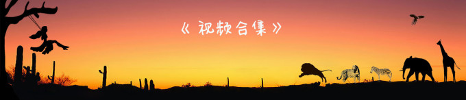 视频合集 视频合集