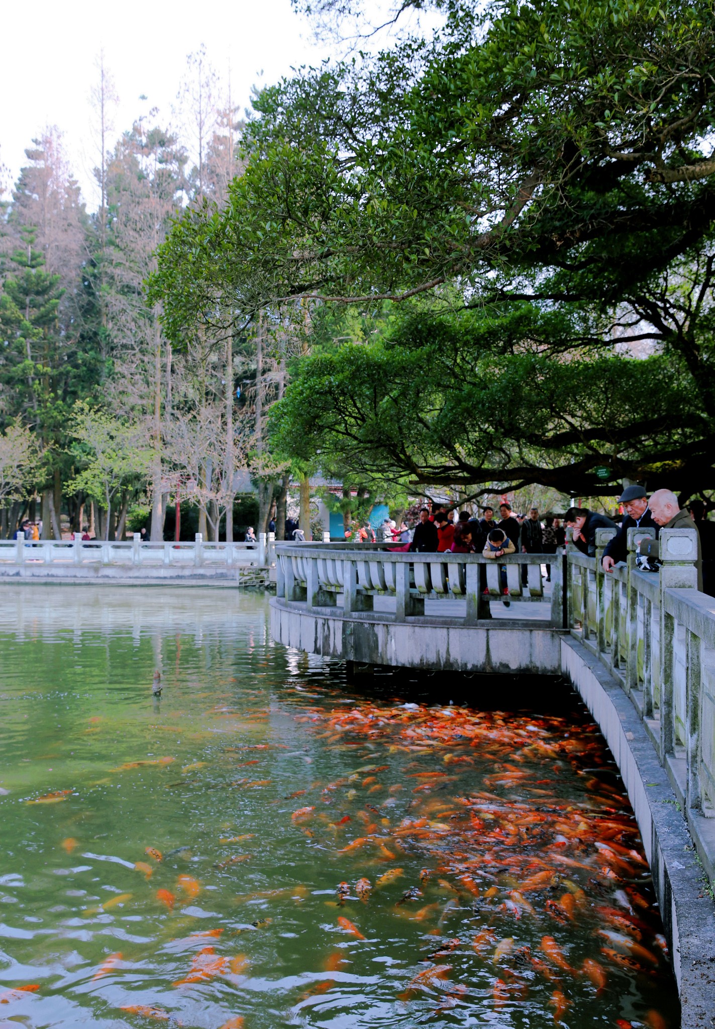 福州國家森林公園---美麗的天然氧吧圖片136,福州旅遊景點,風景名勝