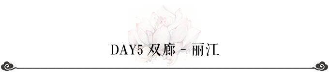 DAY5 双廊-丽江 DAY5 双廊-丽江