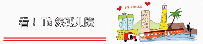 看!Tà象孤儿院! 看!Tà象孤儿院!