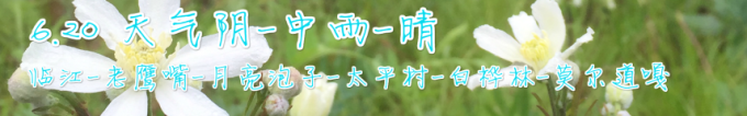 DAY5 临江-老鹰嘴-月亮泡子-太平村-白桦林-莫尔道嘎 DAY5 临江-老鹰嘴-月亮泡子-太平村-白桦林-莫尔道嘎