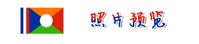 照片预览 照片预览