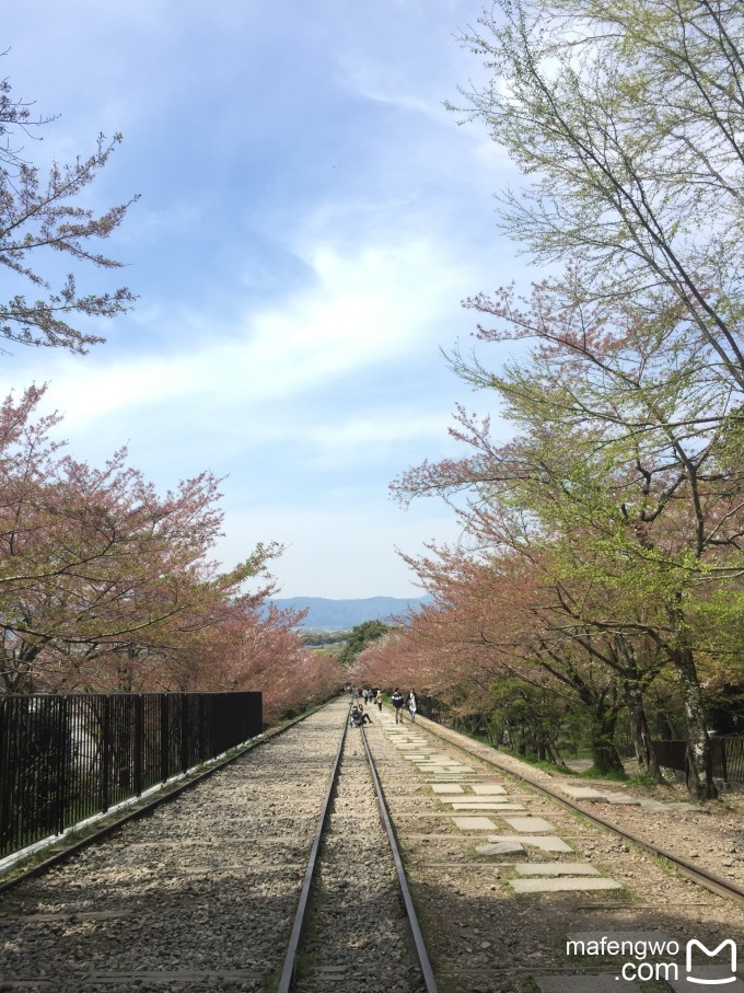 什么时候去日本看樱花比较好 wKgBs1cnKJaAbSPWABFsWy2EZ-483.jpeg?imageView2%2F2%2Fw%2F680%2Fq%2F90