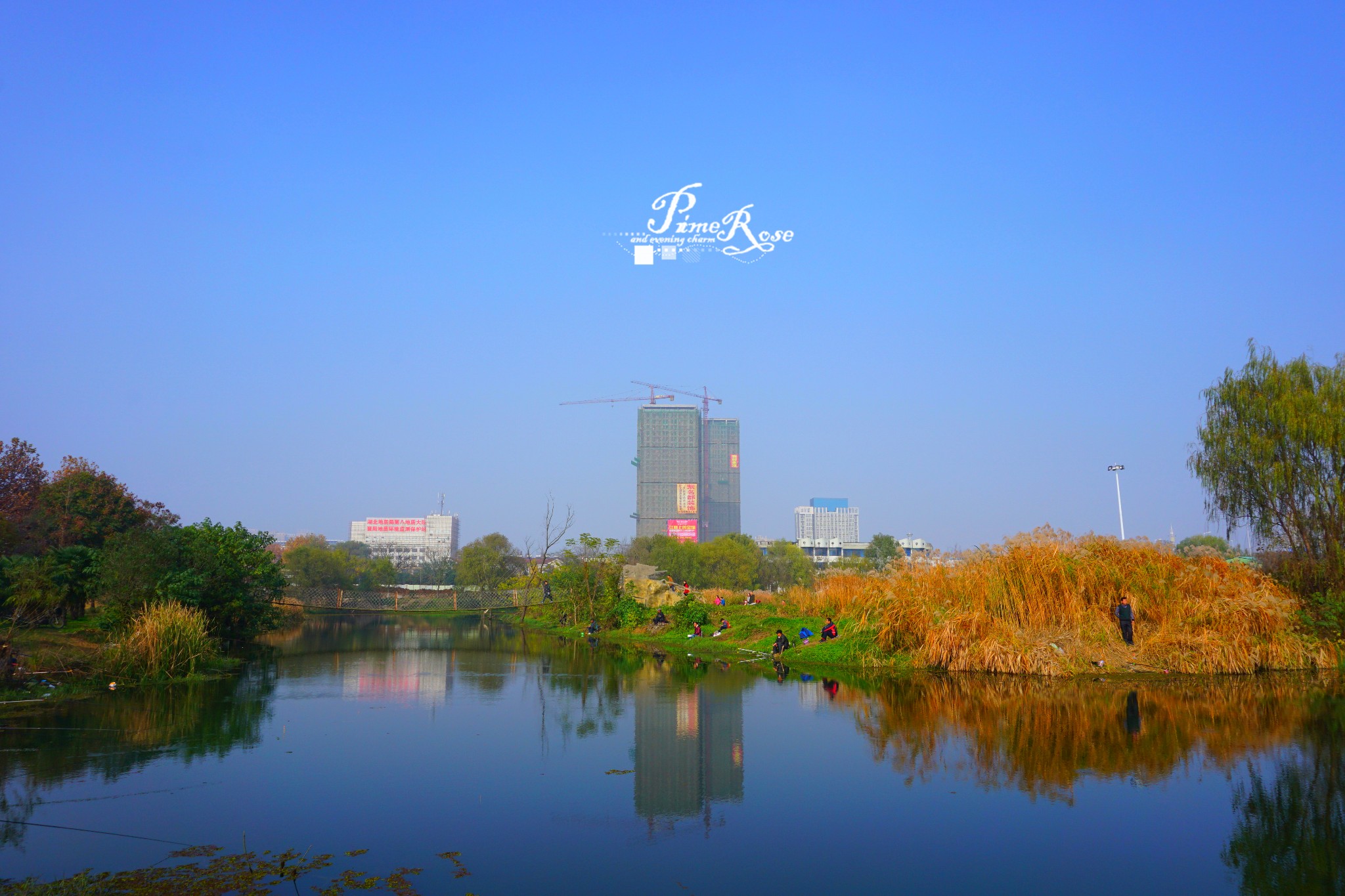 【圖片】【襄陽】週日去月亮灣公園看書曬太陽吧