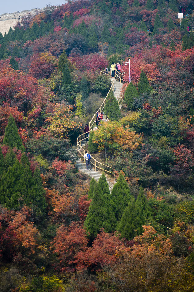 【1日京郊賞秋】亞洲最大紅葉風景區—【紅葉嶺】,八達嶺長城臥龍谷