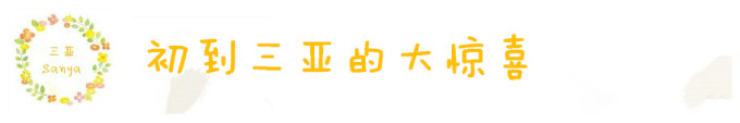 DAY1/2 初到三亚的大惊喜 DAY1/2 初到三亚的大惊喜