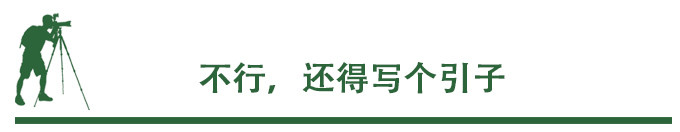 引子 引子