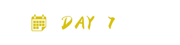 DAY 7 DAY 7