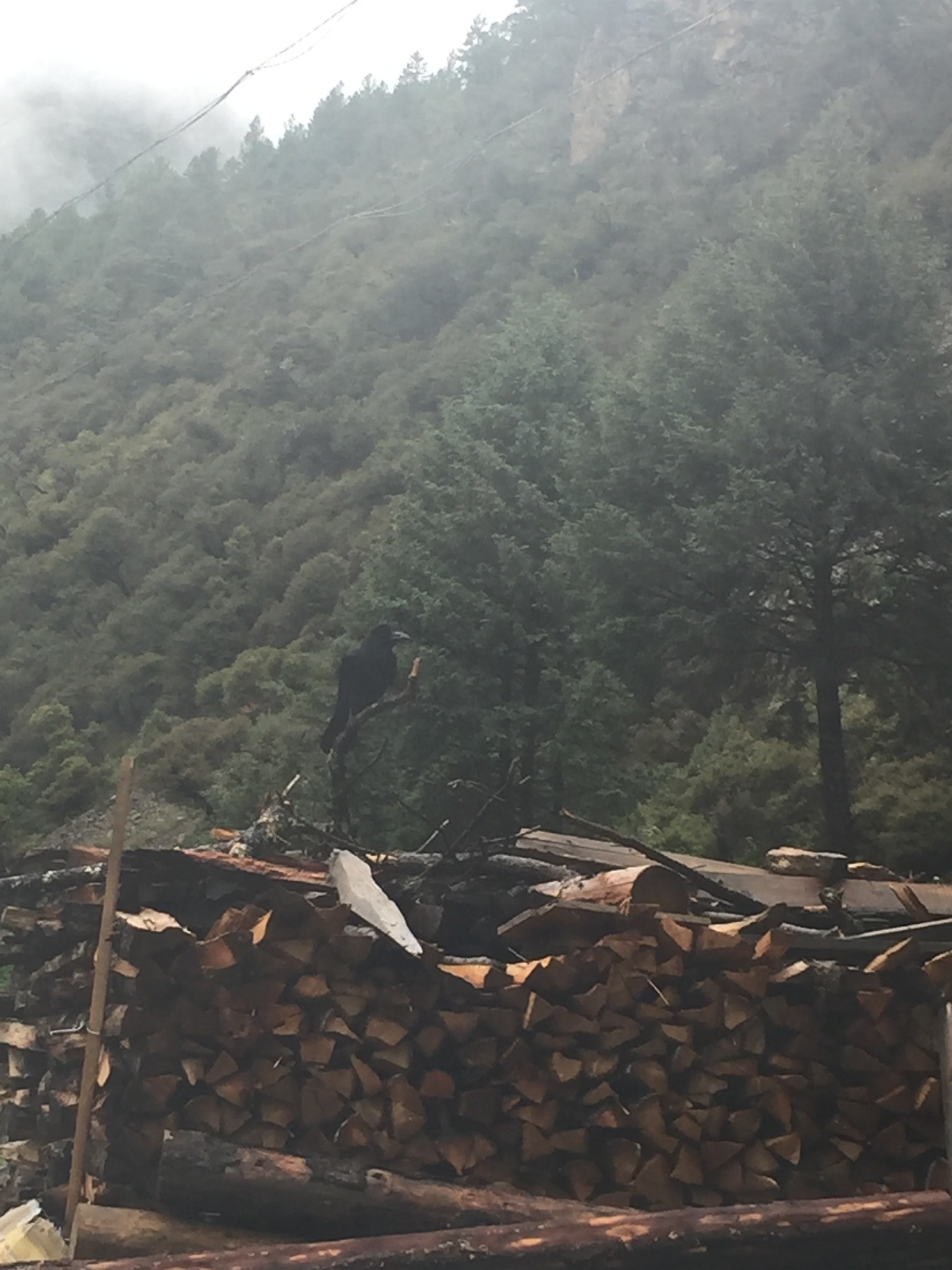 冕宁有多少人口_冕宁灵山寺(3)