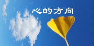 心的方向 心的方向