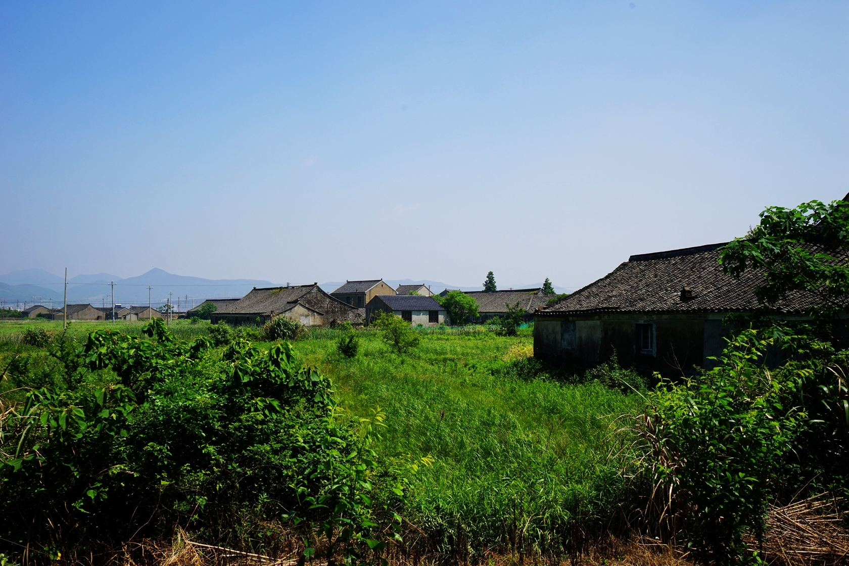 普陀山自助遊攻略