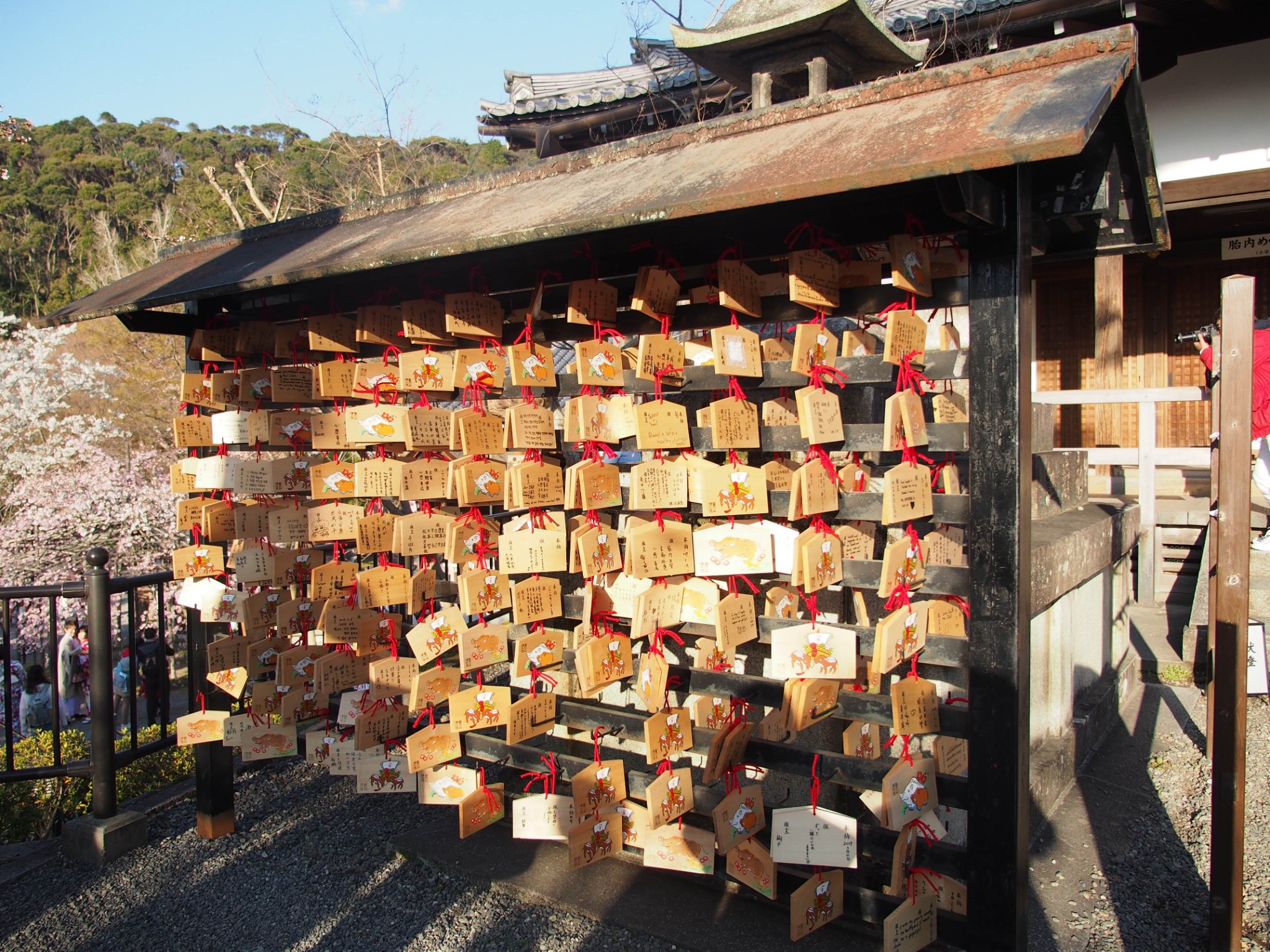 京都自助遊攻略