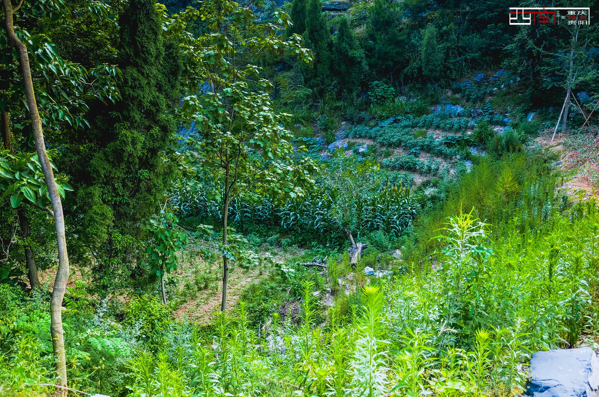 黃果樹瀑佈景區自助遊攻略