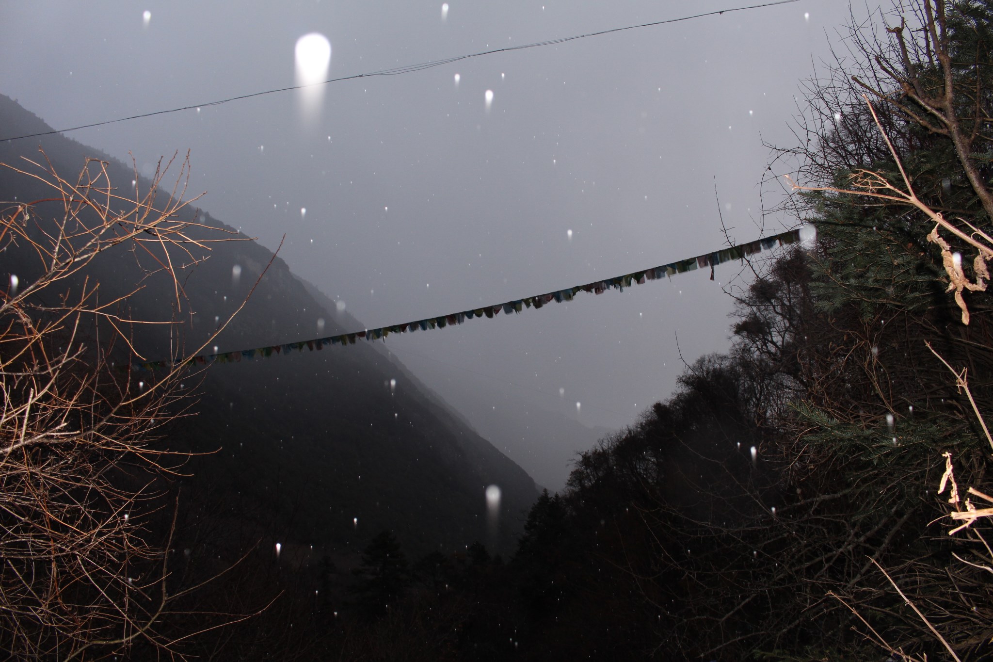 雨崩自助遊攻略