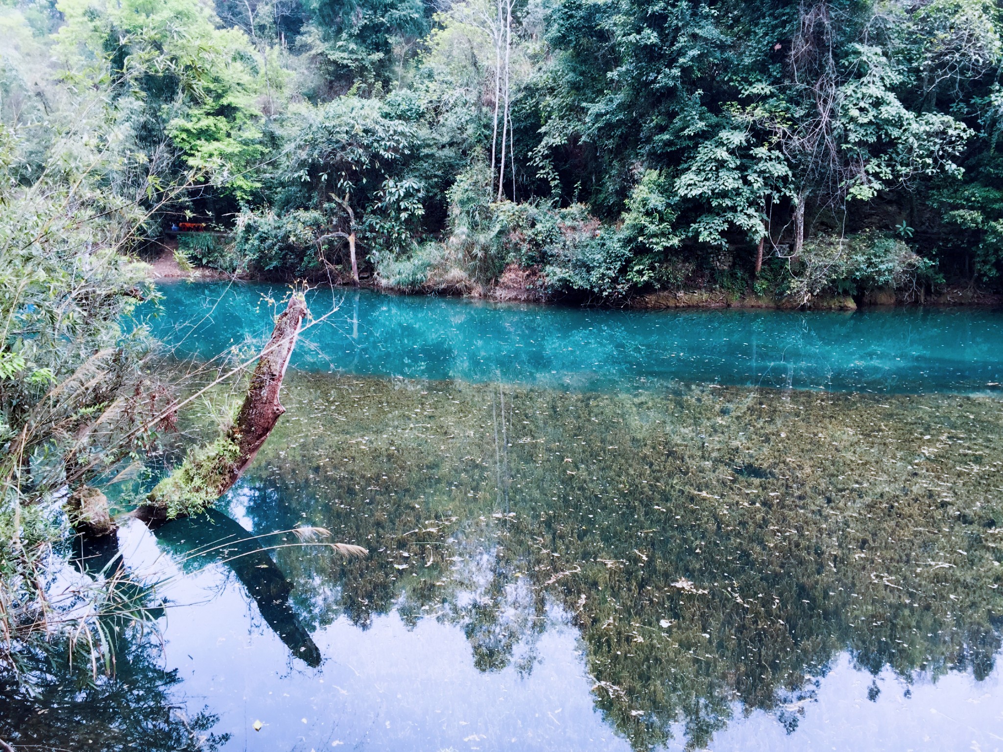 兴义都匀凯里gdp_都匀毛尖图片