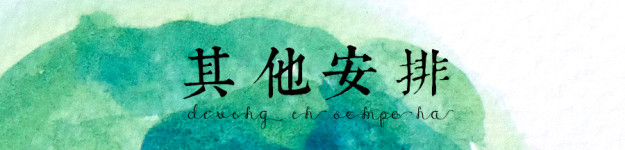 其他安排 其他安排