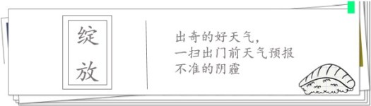绽放 绽放